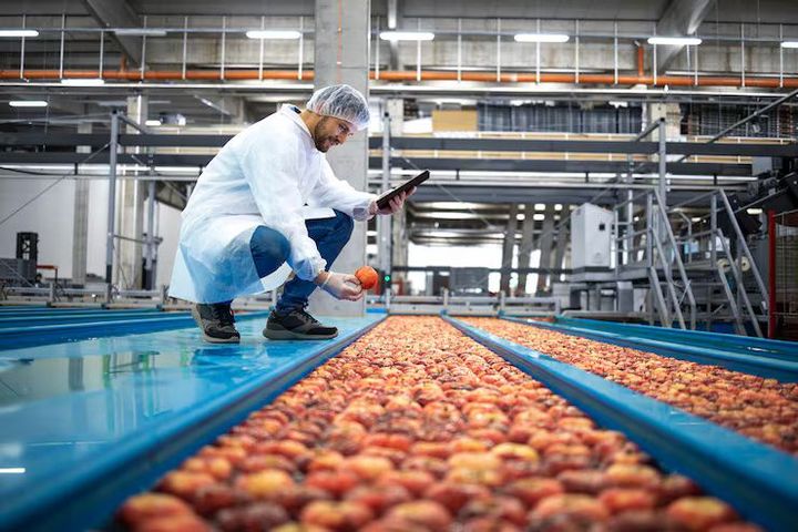 Food Manufacturing: A Complete Guide to Modern Food Production Systems