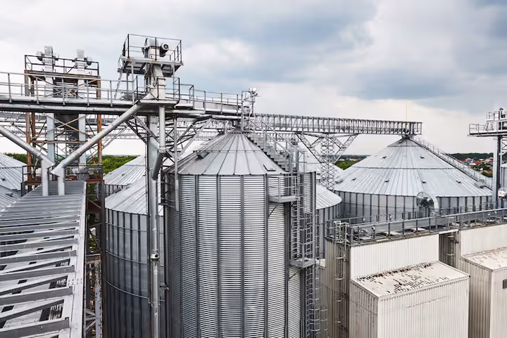 Seed Processing Machines: A Guide to Seed Cleaning, Grading and Sorting